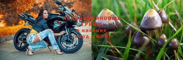 скорость mdpv Абаза