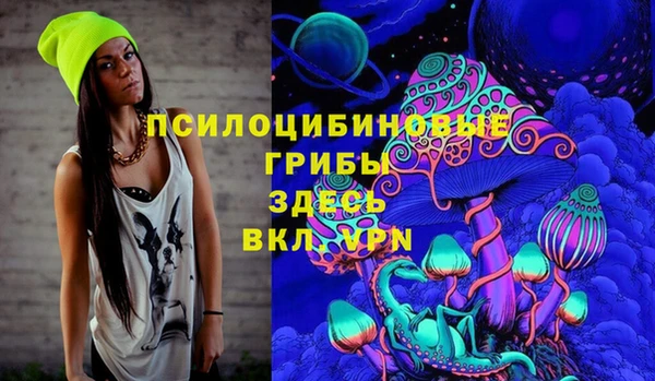 амфетамин Алексеевка
