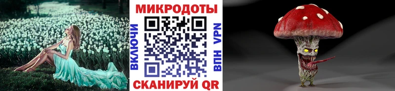 Галлюциногенные грибы Psilocybine cubensis  где найти   Ярославль 