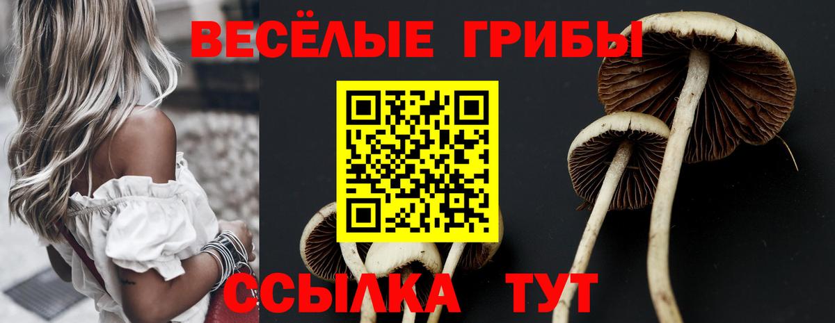 Галлюциногенные грибы Psilocybine cubensis  Вход с VPN  Ярославль 
